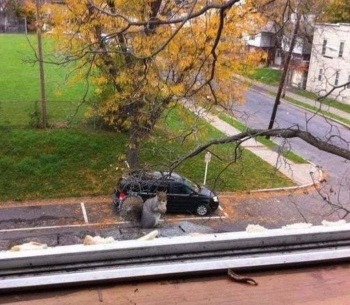 Optical Illusions (34 pics)