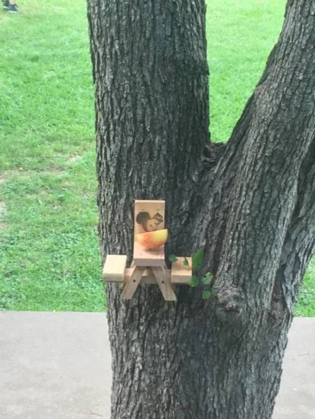 So Awesome (44 pics)