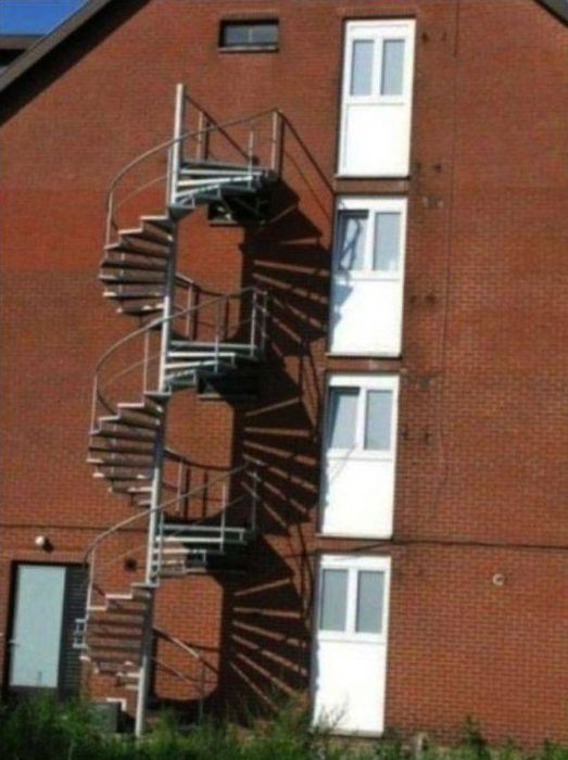WTF Photos (55 pics)