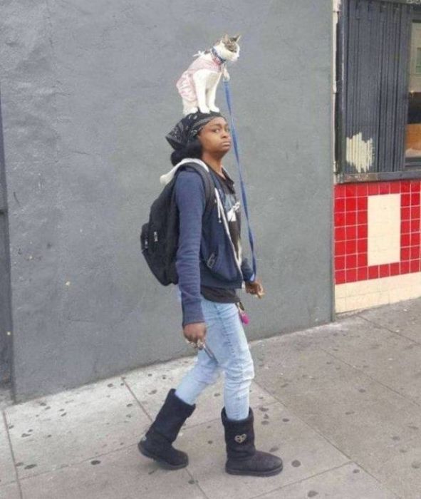 WTF Photos (55 pics)