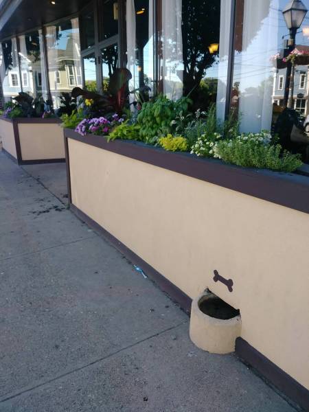 Acid Picdump (94 pics)