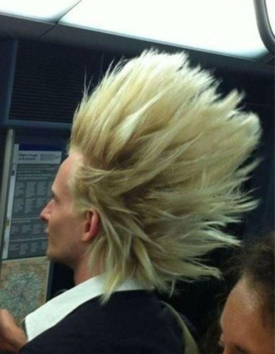 Funny Hairstyles (19 pics)