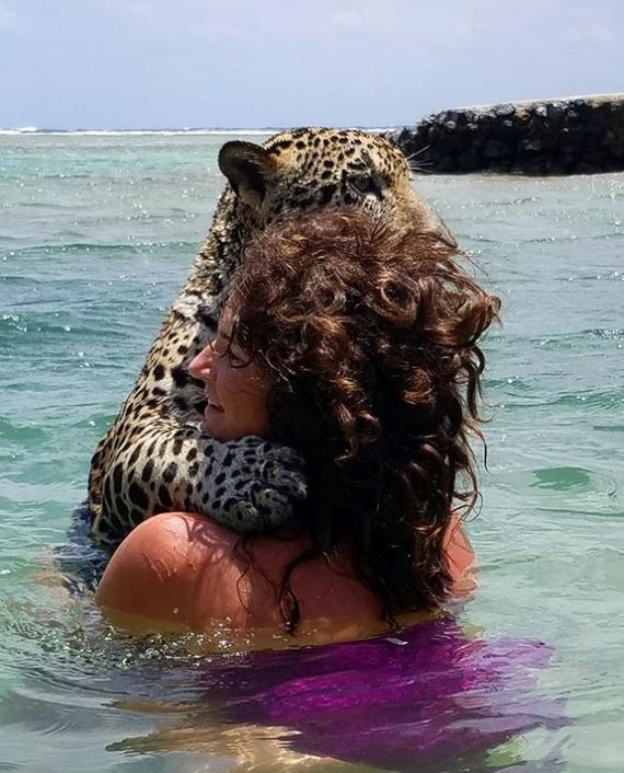 Vacation With Jaguars (12 pics)