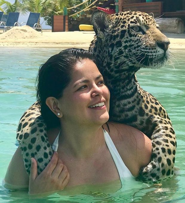 Vacation With Jaguars (12 pics)
