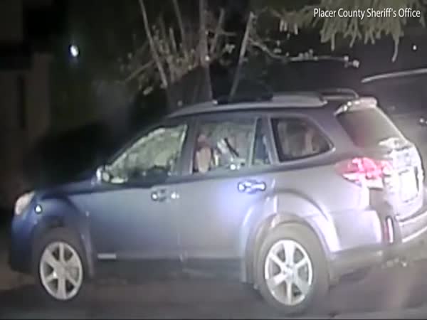 Placer County Sheriff Breaking Car Window To Let a Bear Out
