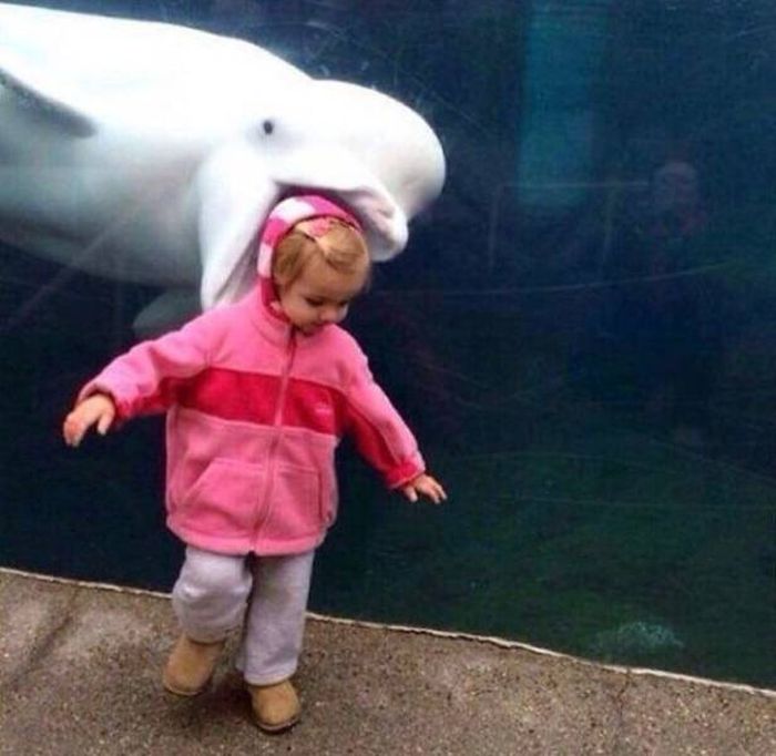 Just Check The Background (43 pics)