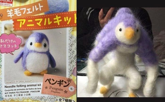 Expectations vs. Reality (25 pics)