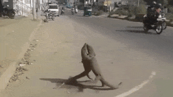 Acid Gifdump, June 26, 2018 (25 gifs)