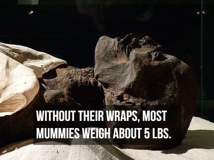 Interesting Facts About Mummies (17 pics)