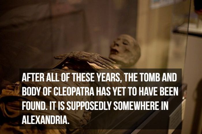 Interesting Facts About Mummies (17 pics)