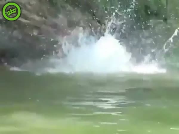 Man Saves His Friend From Crocodile With Slam Dunk