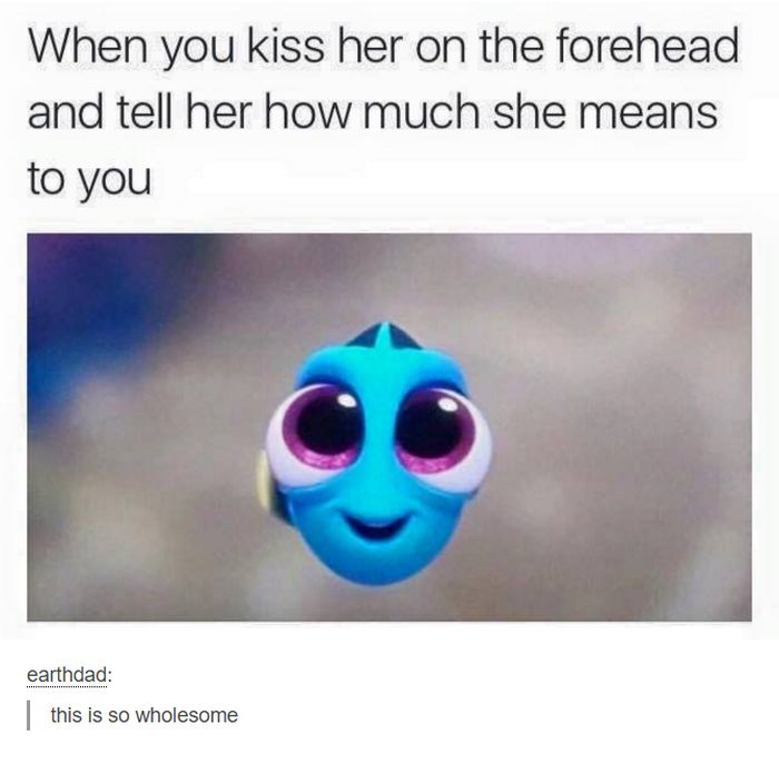 Memes (24 pics)