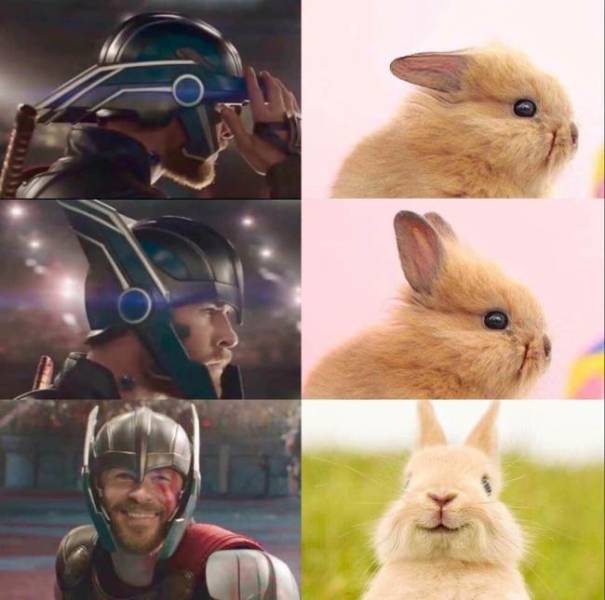 Avengers Memes (30 pics)