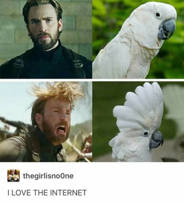 Avengers Memes (30 pics)