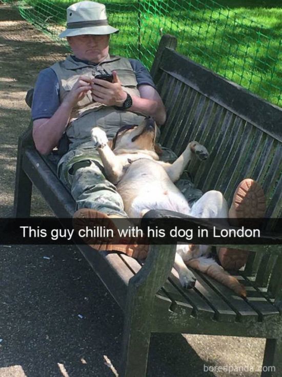 Snapchat Dogs (38 pics)