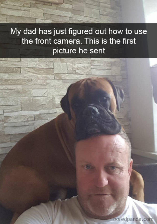 Snapchat Dogs (38 pics)