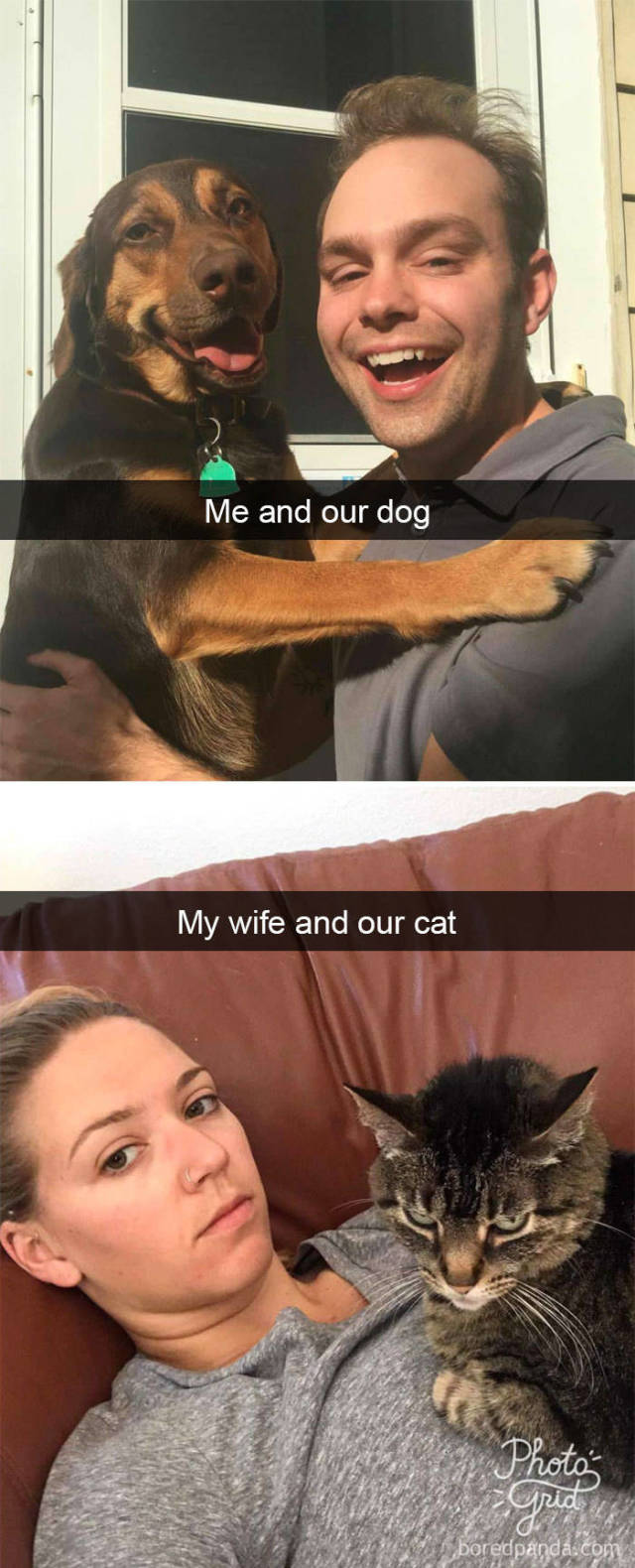 Snapchat Dogs (38 pics)