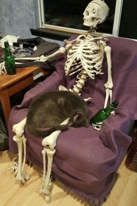 Acid Picdump (90 pics)
