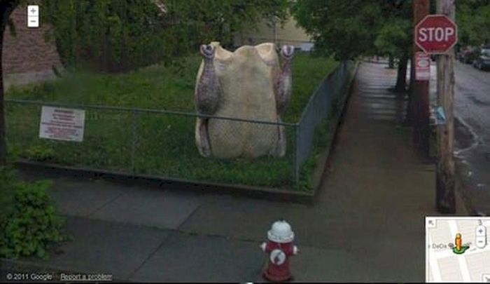 Google Street View Moments (18 pics)