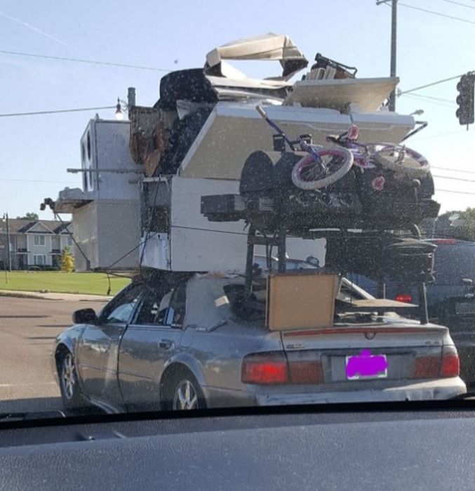 Too Much (17 pics)