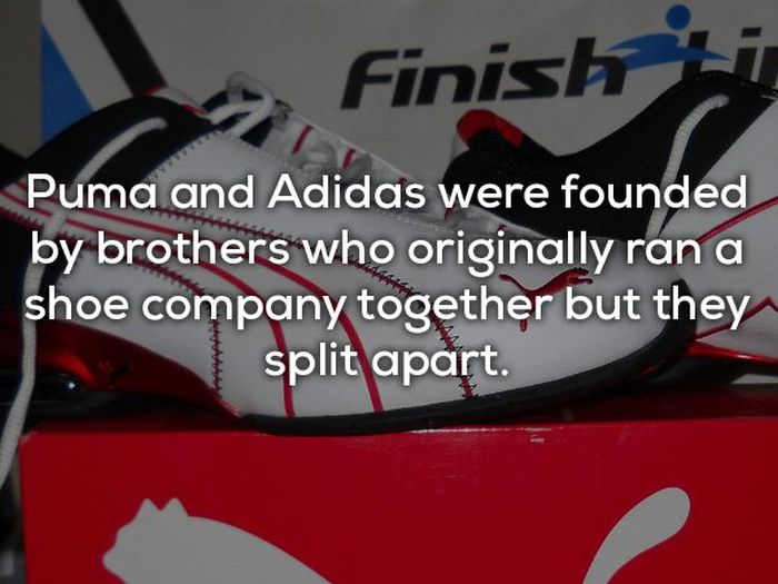 Strange Facts About Brands (19 pics)