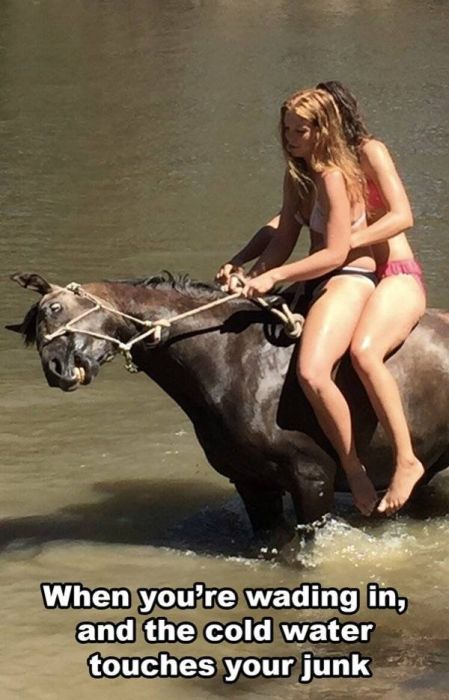 Arguing Won’t Help Here (61 pics)