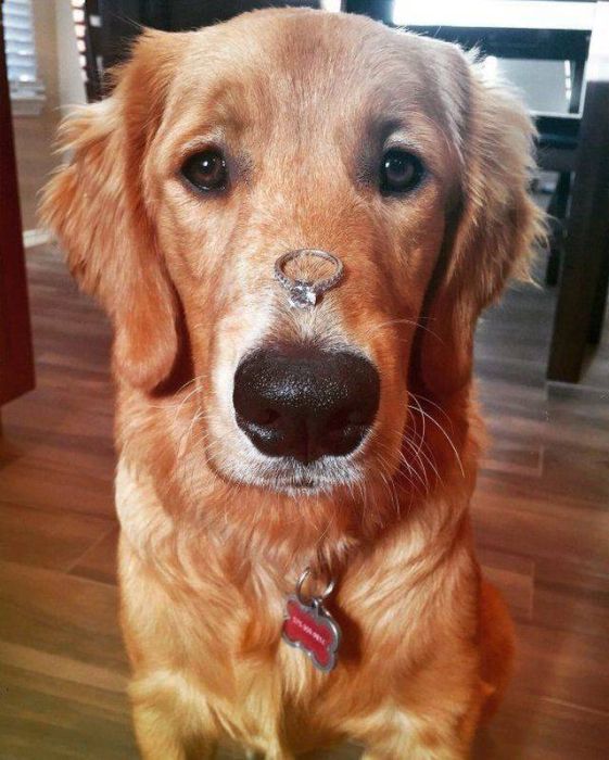 When A Picture Says More Than Just A Thousand Words (47 pics)