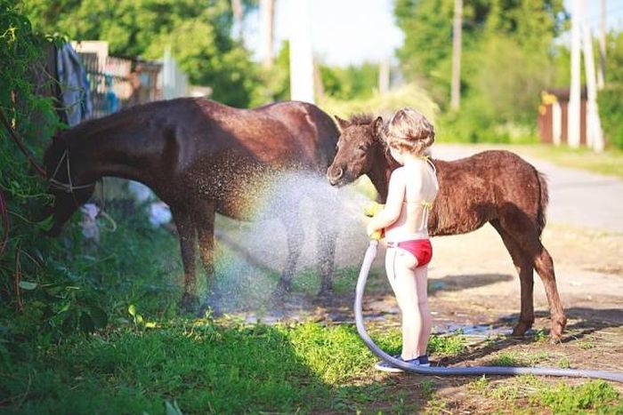 When A Picture Says More Than Just A Thousand Words (47 pics)