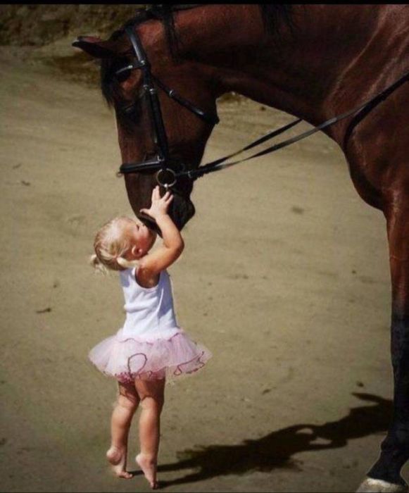 When A Picture Says More Than Just A Thousand Words (47 pics)