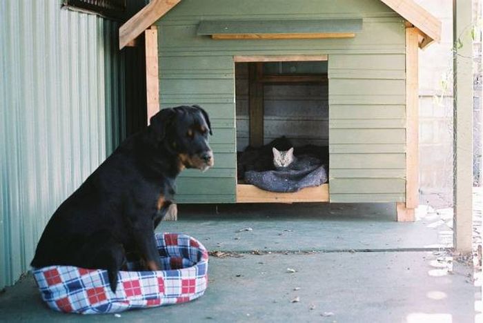 When A Picture Says More Than Just A Thousand Words (47 pics)