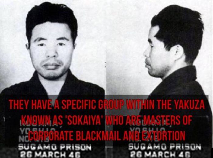 Interesting Facts About The Japanese Yakuza (17 pics)
