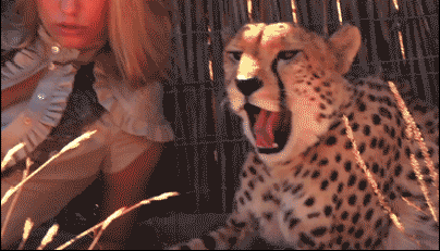 Acid Gifdump, July 03, 2018 (25 gifs)