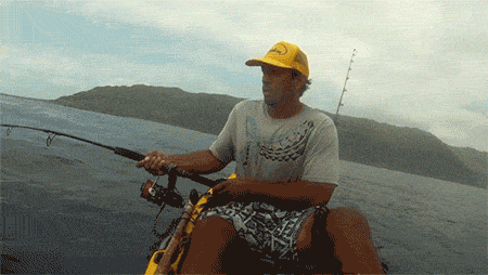 Acid Gifdump, July 03, 2018 (25 gifs)