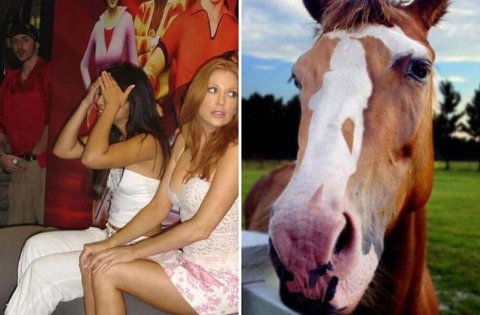 These Photos Don't Look Normal (24 pics)