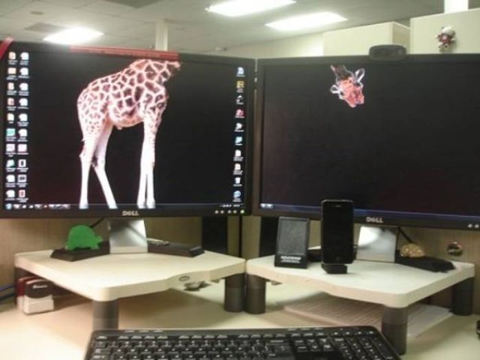 Fun At Work (54 pics)