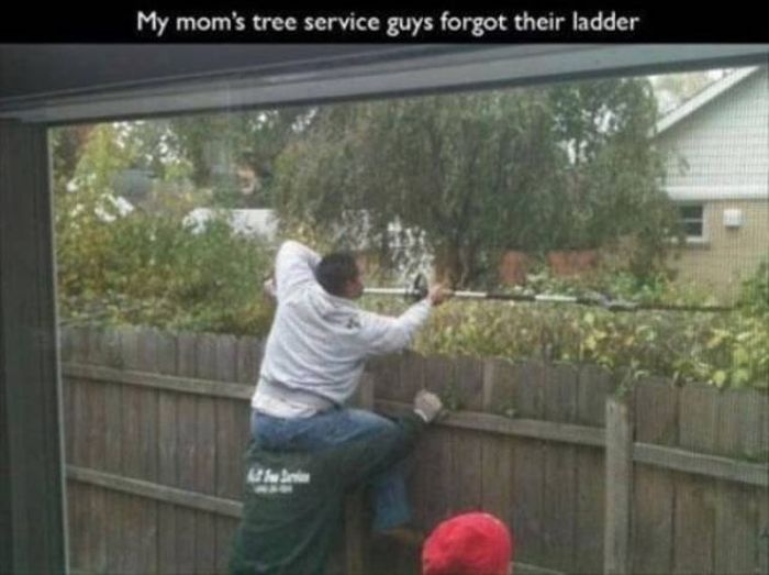 Fun At Work (54 pics)