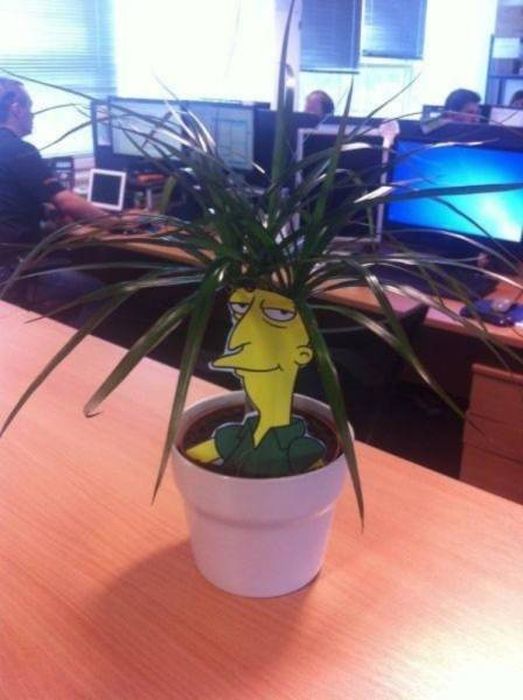 Fun At Work (54 pics)