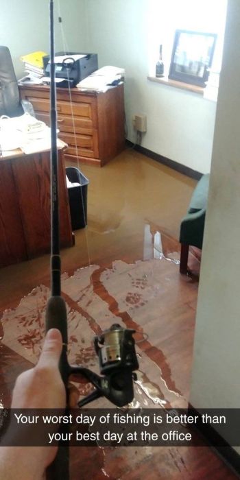 Fun At Work (54 pics)