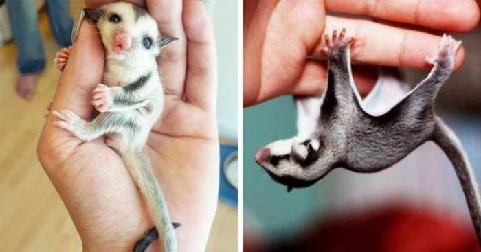 Acid Picdump (90 pics)