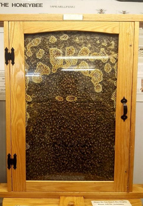 Acid Picdump (90 pics)
