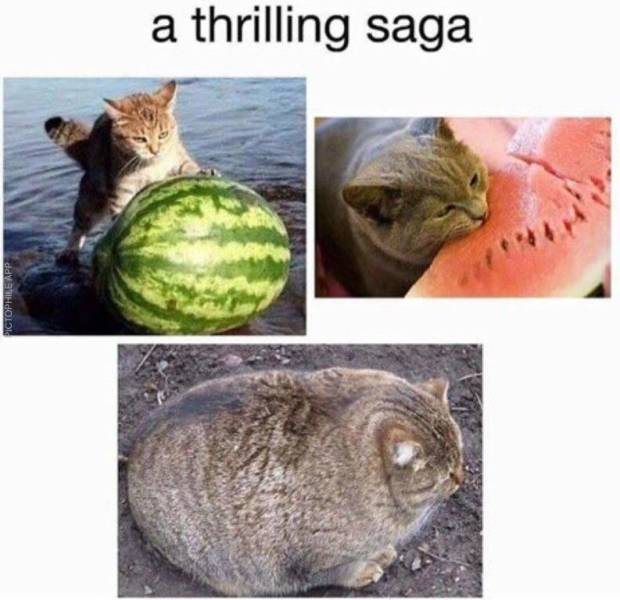 Acid Picdump (90 pics)