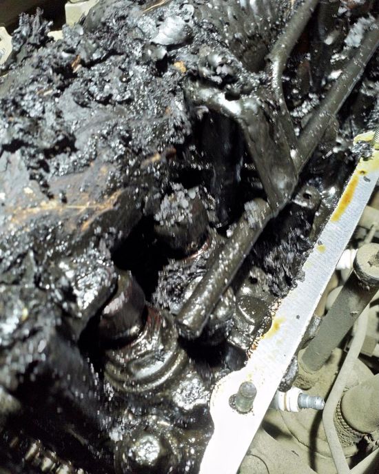 Wrong Oil (4 pics)