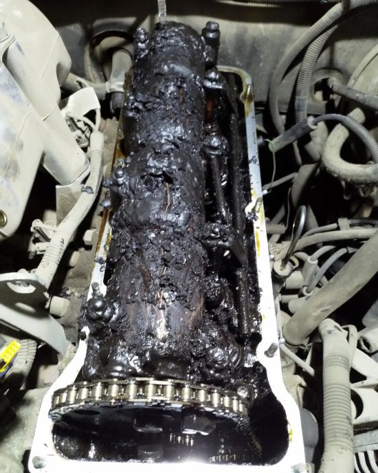 Wrong Oil (4 pics)