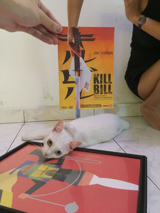 Cats Inserted Behind Famous Movie Posters (19 pics)