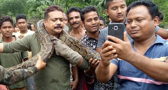 That's Why You Shouldn't Take Photos With Pythons (5 pics)