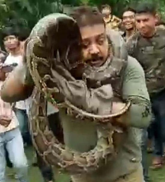 That's Why You Shouldn't Take Photos With Pythons (5 pics)