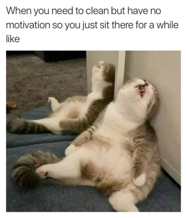 Funny Memes (21 pics)