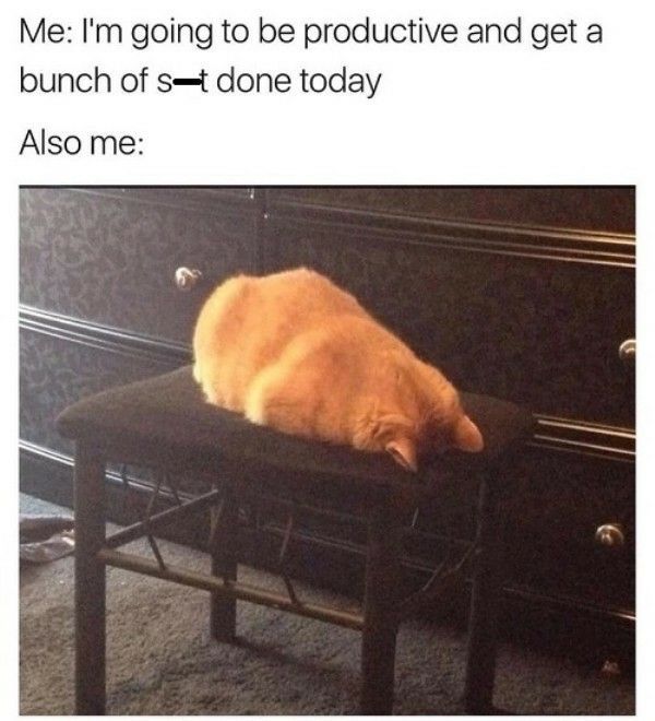 Funny Memes (21 pics)