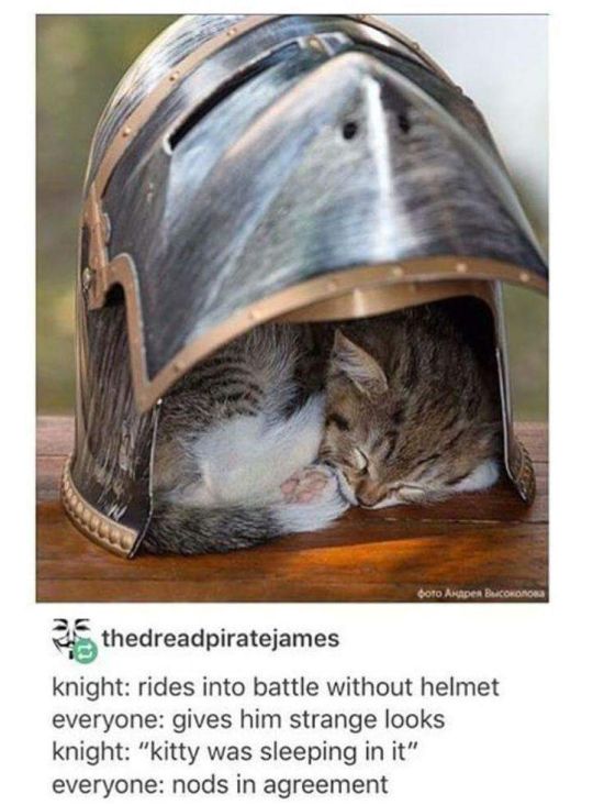 Funny Memes (21 pics)