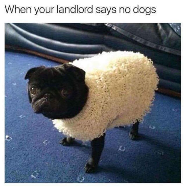 Funny Memes (21 pics)